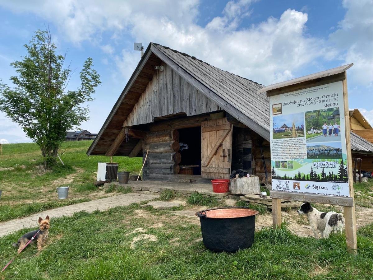 Zloty Gron Log Houses & Apartments Istebna Εξωτερικό φωτογραφία