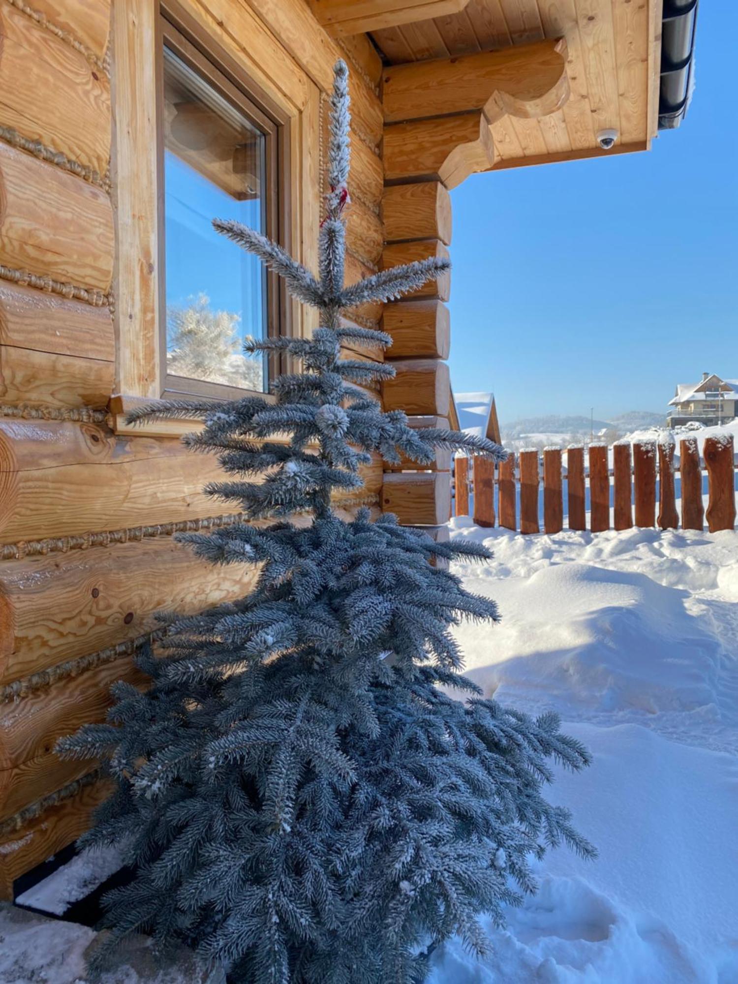 Zloty Gron Log Houses & Apartments Istebna Εξωτερικό φωτογραφία